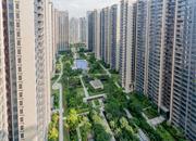 松茂御龙湾雅苑（一期）-俯瞰图