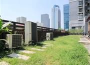 高发城驰苑-环境绿化