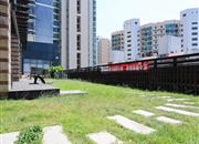 高发城驰苑-环境绿化