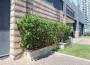 高发城驰苑-环境绿化