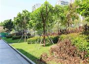 高发城驰苑-环境绿化