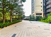 金地龙城中央-环境绿化