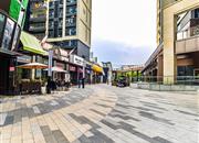 金地龙城中央-基础设施