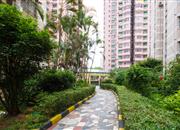 帝景峰（茂业城帝景峰）-环境绿化