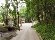 中海怡翠山庄-环境绿化