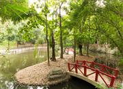 中海怡翠山庄-环境绿化