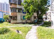 贝丽花园-环境绿化