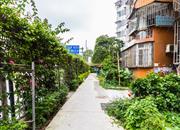 桃花园-环境绿化