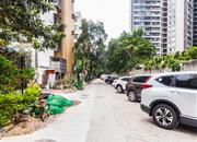 桃花园-环境绿化