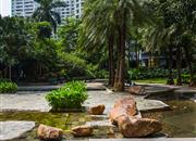 鸿翔花园-环境绿化