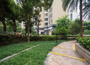 星河国际-环境绿化