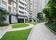 星河国际-环境绿化