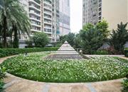 星河国际-环境绿化