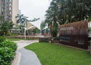 星河国际-环境绿化