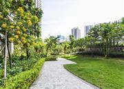 睿智华庭-环境绿化