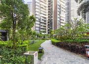 睿智华庭-环境绿化