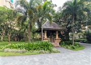 倚山花园（二期）-环境绿化