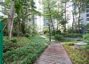 合正汇一城-环境绿化