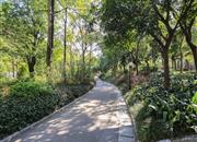 晨晖家园-环境绿化