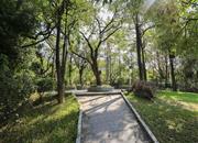 晨晖家园-环境绿化