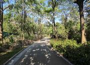 晨晖家园-环境绿化