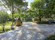 晨晖家园-环境绿化