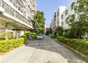 龙富花园(龙富路)-环境绿化