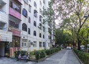 龙富花园(龙富路)-环境绿化