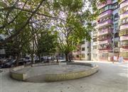 龙富花园(龙富路)-环境绿化