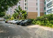 城龙花园-环境绿化