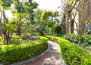 荔海春城-环境绿化