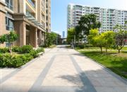 荔海春城-环境绿化