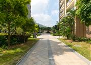 荔海春城-环境绿化