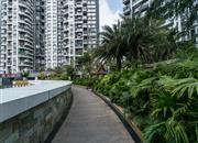 东方明珠城-环境绿化