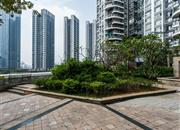 东方明珠城-环境绿化