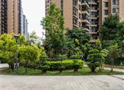 广业成学府道花园-环境绿化