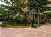 广业成学府道花园-环境绿化