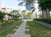 汉京峰-环境绿化