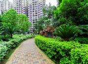 中城康桥花园（二期）-环境绿化