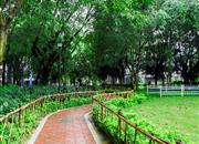 中城康桥花园（二期）-环境绿化