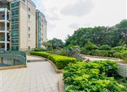 碧海名园-环境绿化