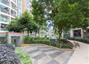 碧海名园-环境绿化