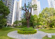 水榭春天花园（二期）-环境绿化