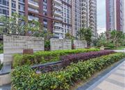 锦荟park-环境绿化