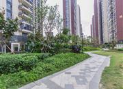 锦荟park-环境绿化