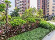 合正丹郡(丹郡花园)-环境绿化