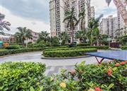 南景豪庭-环境绿化