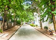 富豪花园-环境绿化