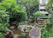 桐林花园-环境绿化