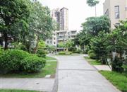 桐林花园-环境绿化